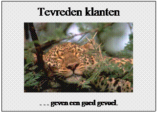 Tekstvak: Tevreden klanten
. . . geven een goed gevoel.