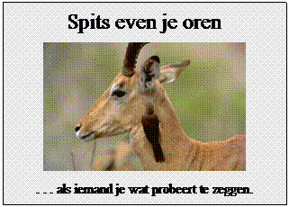 Tekstvak: Spits even je oren
. . . als iemand je wat probeert te zeggen.